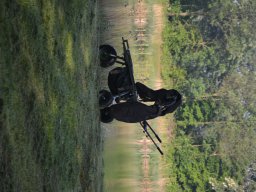 Competities HSV Alfheim